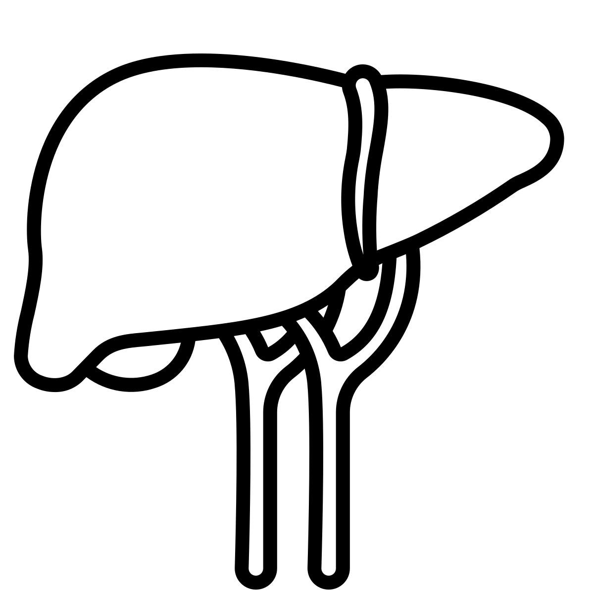 liver icon