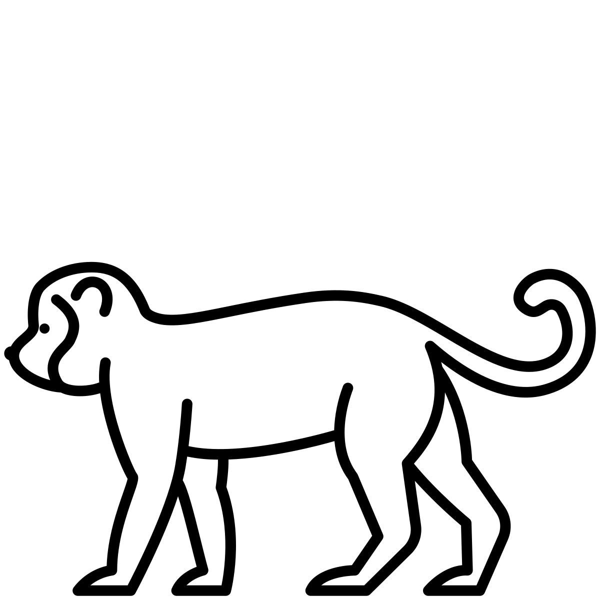 monkey icon