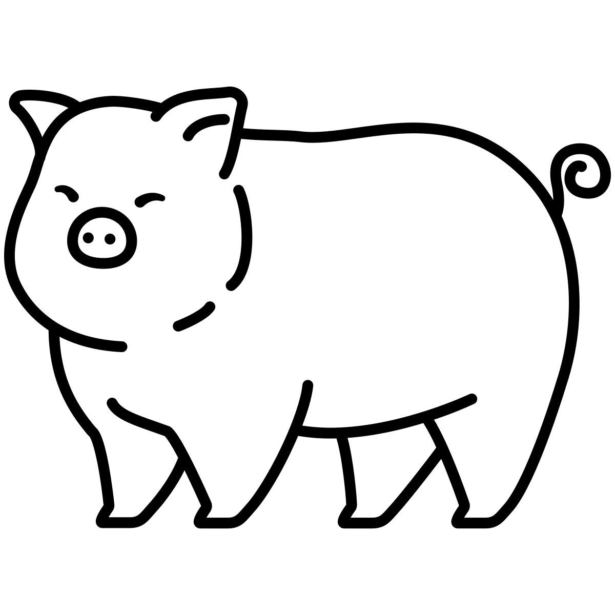 pig icon