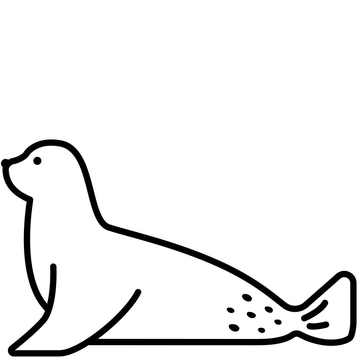 foca icon