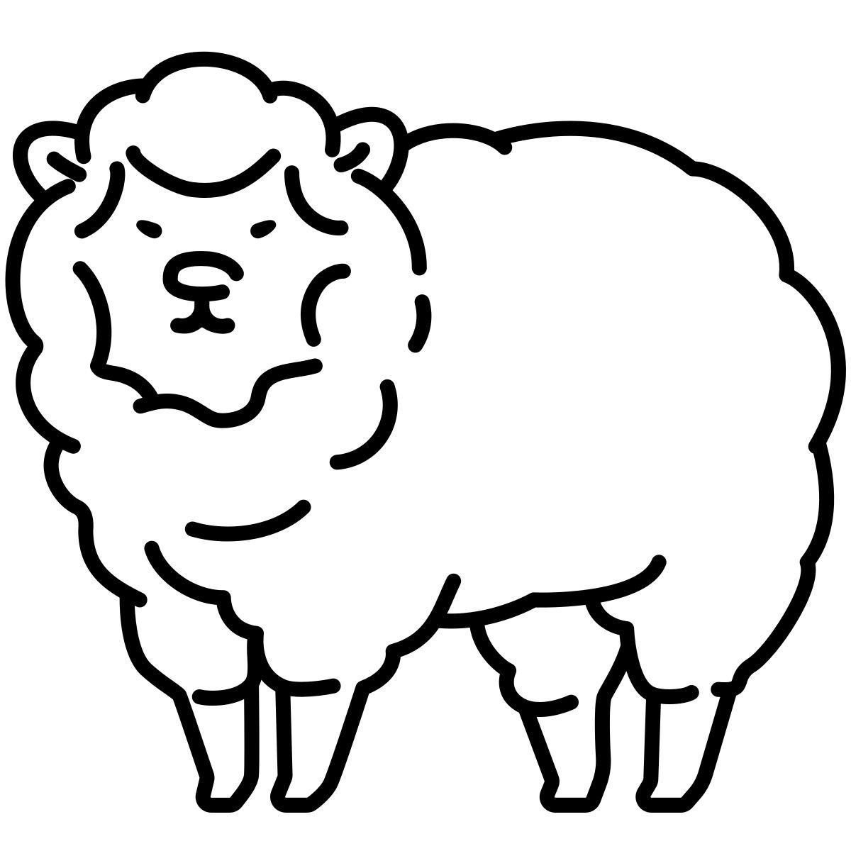 sheep icon