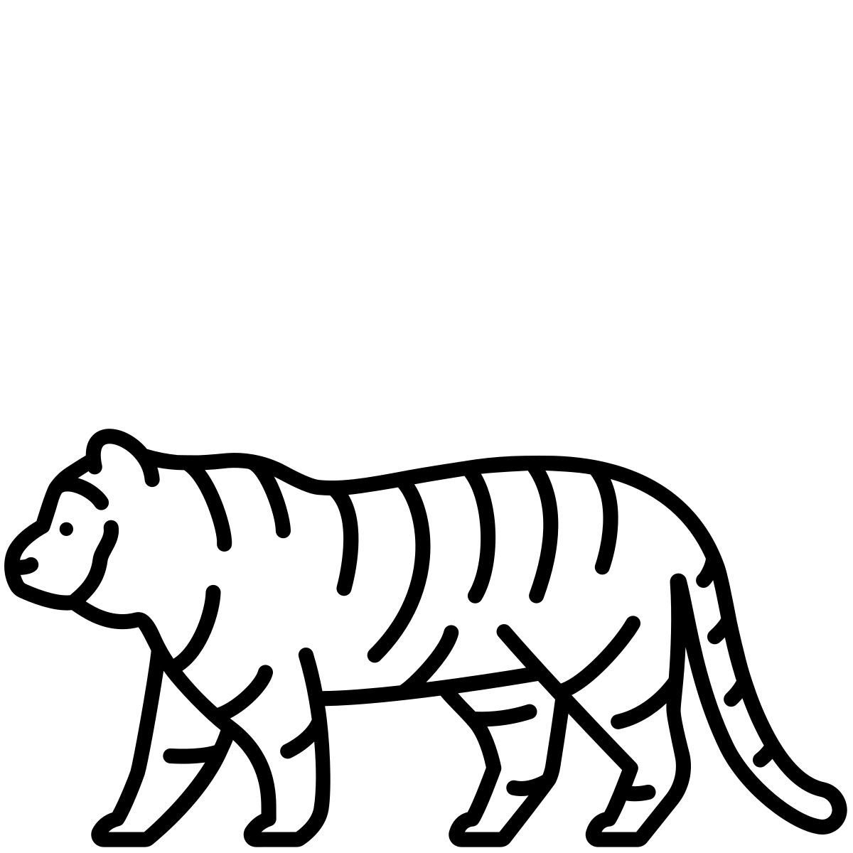 tiger icon