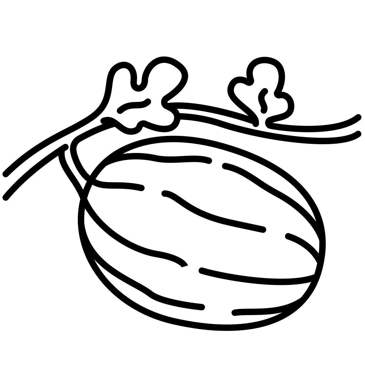 watermelon icon