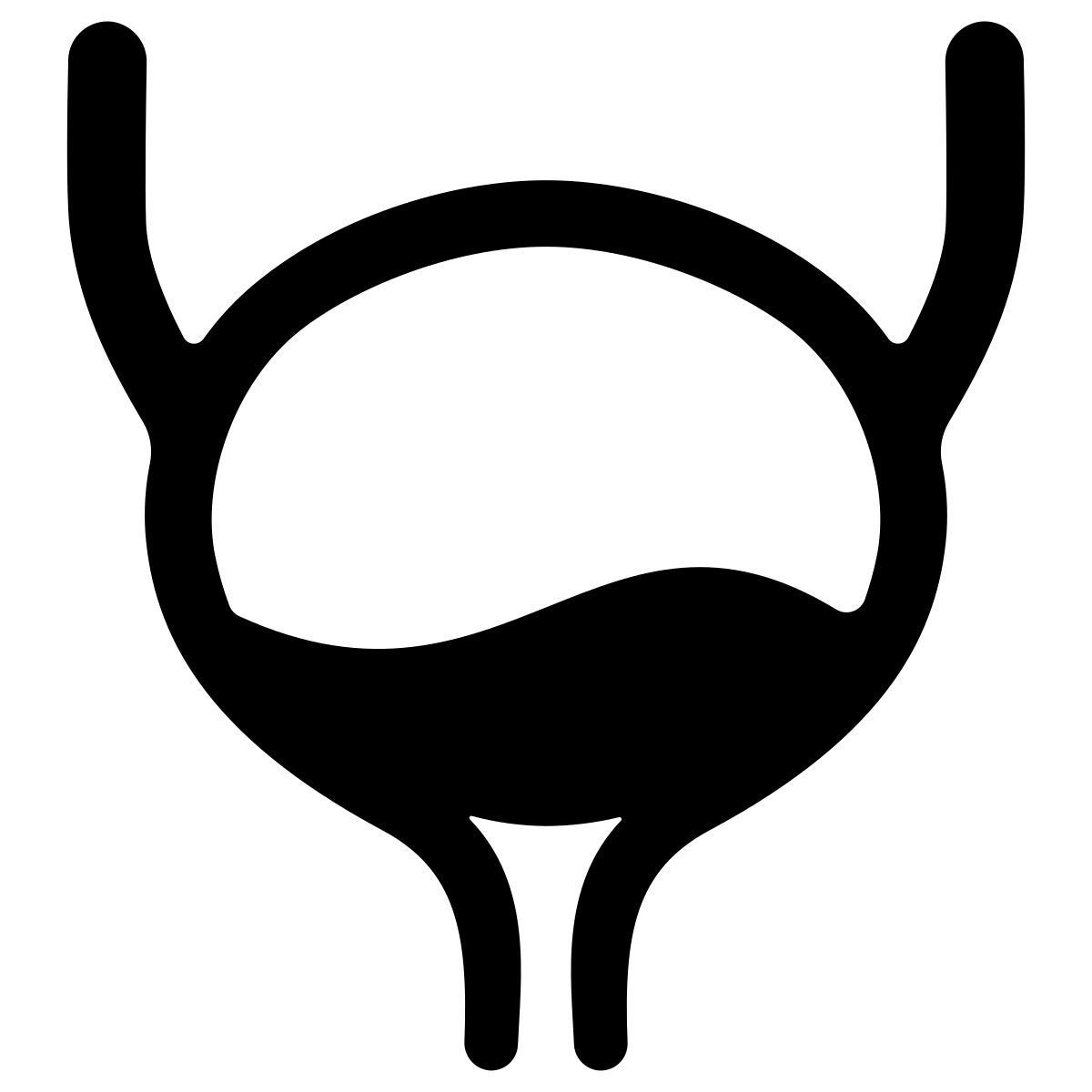 bladder icon