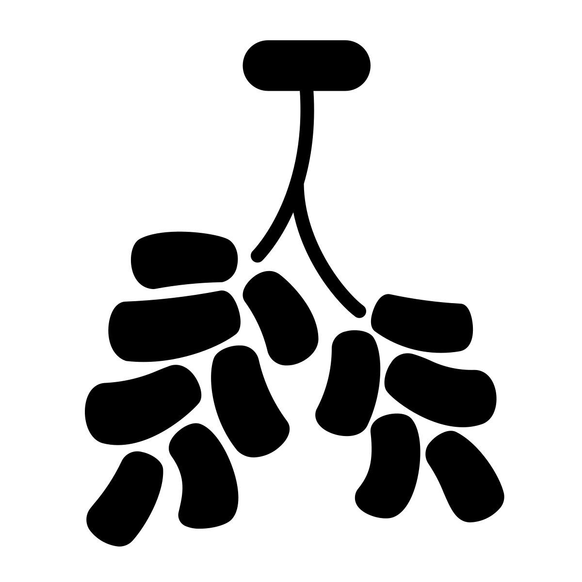 firecracker icon