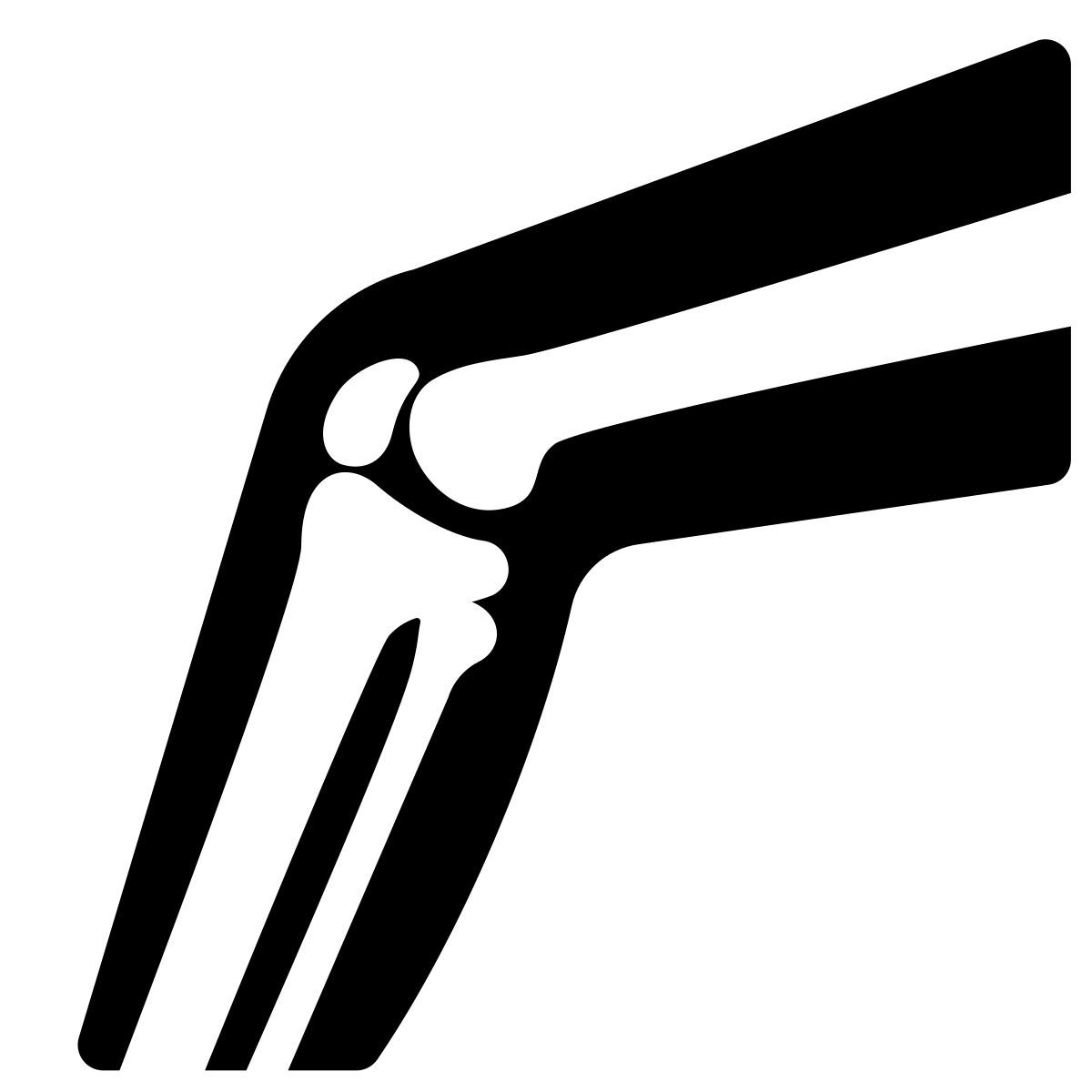 joint icon