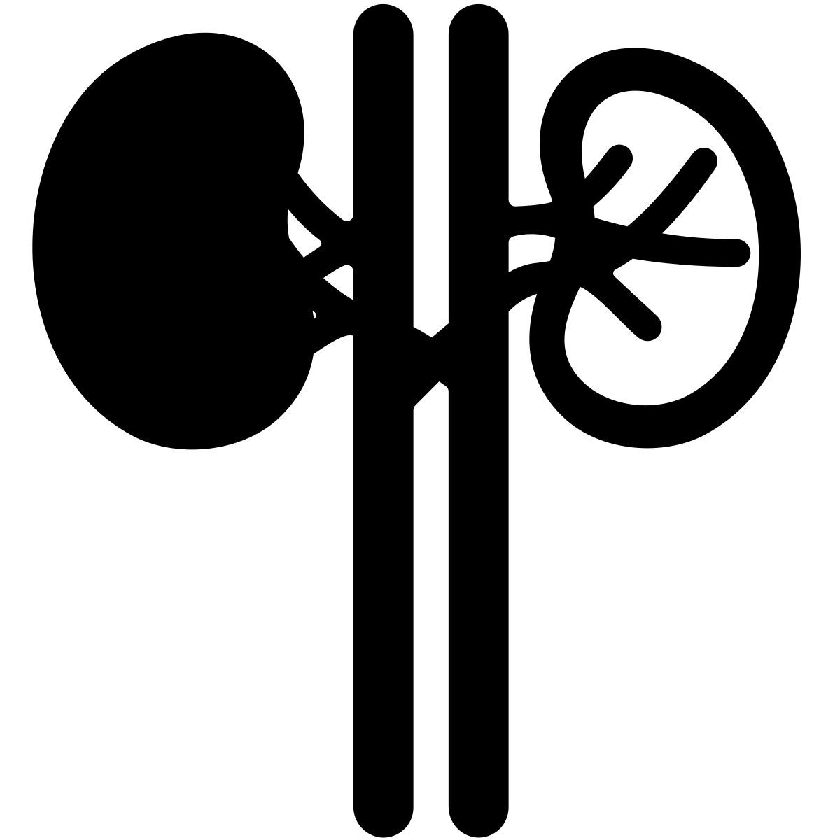 kidney icon