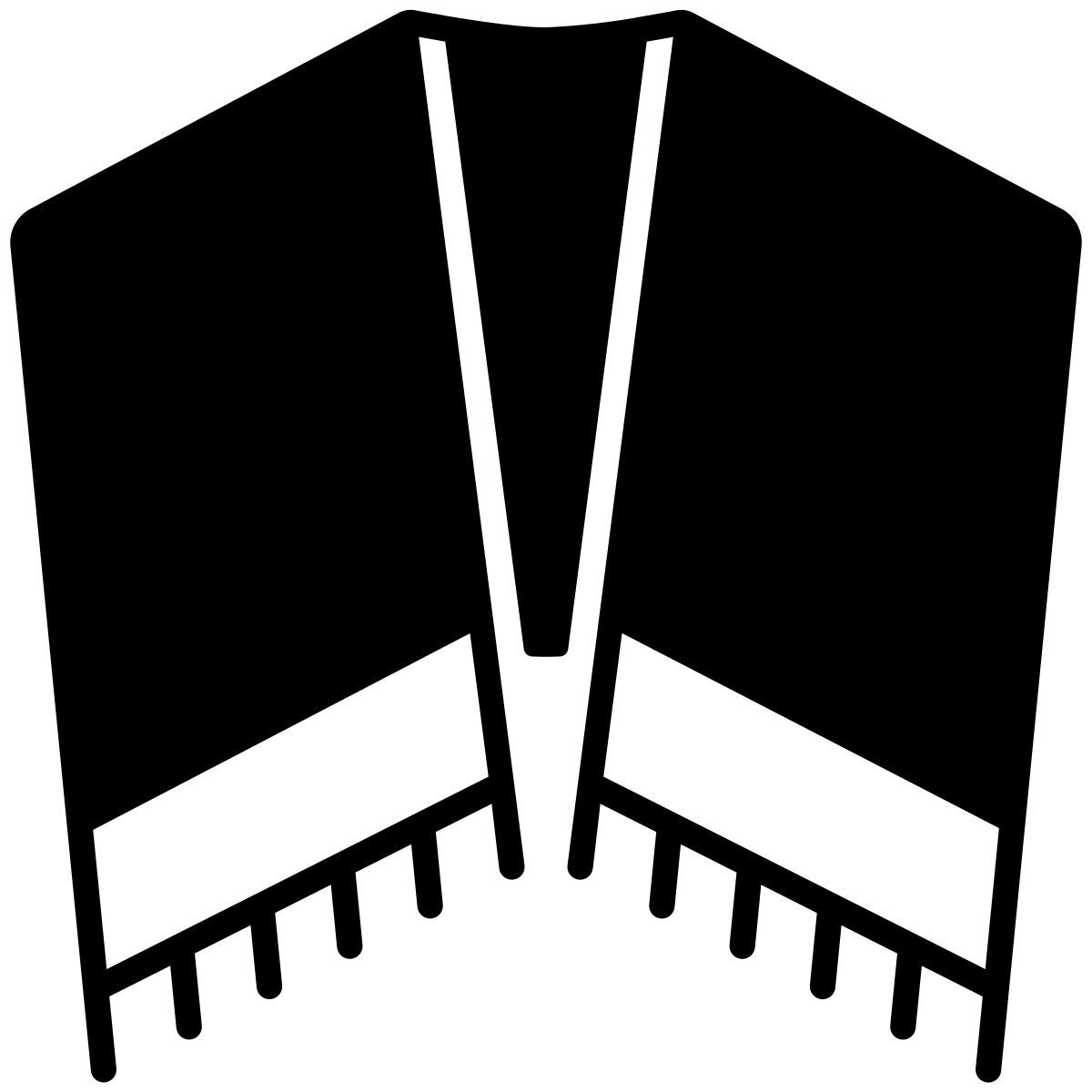 shawl icon