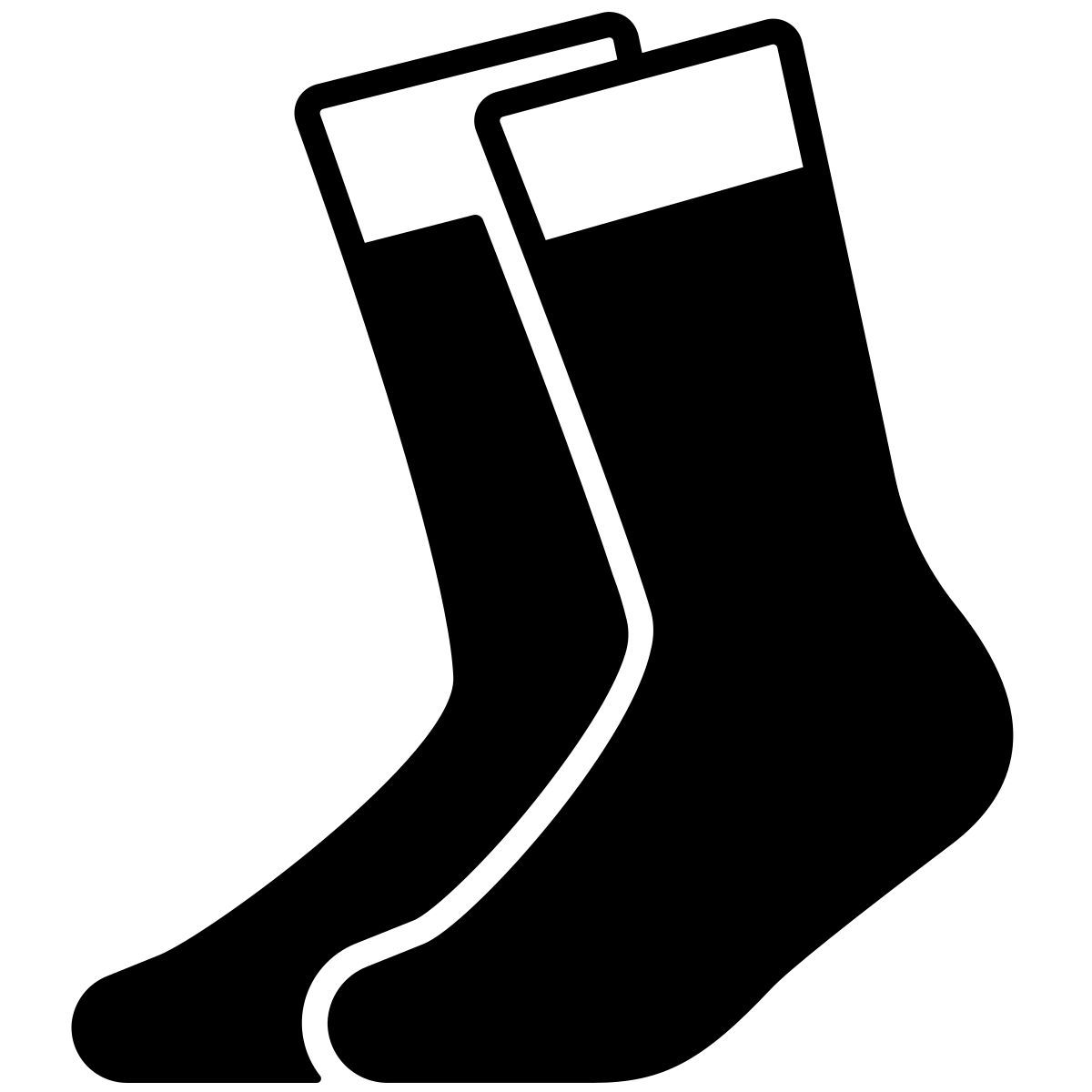 socks icon
