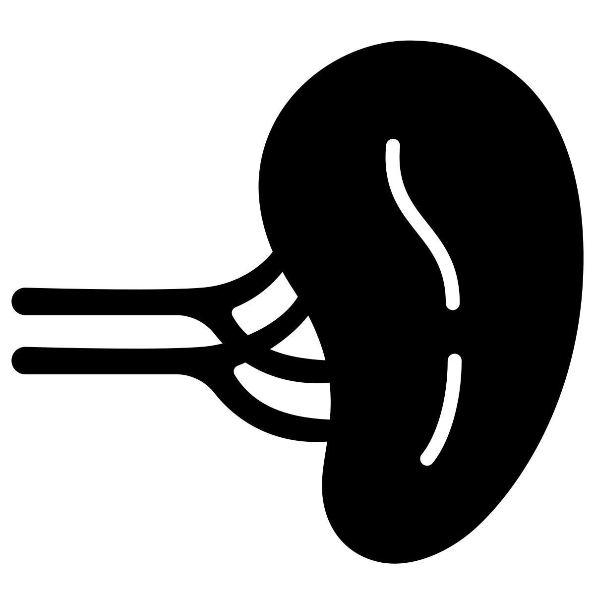 spleen icon