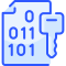 Binary Code icon