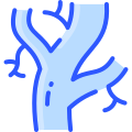 external arteries-anatomy-vitaliy-gorbachev-blue-vitaly-gorbachev icon