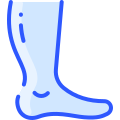 external foot-anatomy-vitaliy-gorbachev-blue-vitaly-gorbachev icon