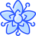 external jade-flowers-vitaliy-gorbachev-blue-vitaly-gorbachev icon