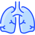 external lungs-anatomy-vitaliy-gorbachev-blue-vitaly-gorbachev icon