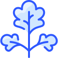 external parsley-vegetable-vitaliy-gorbachev-blue-vitaly-gorbachev icon
