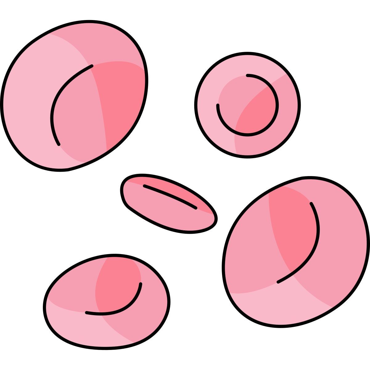 blood cells icon