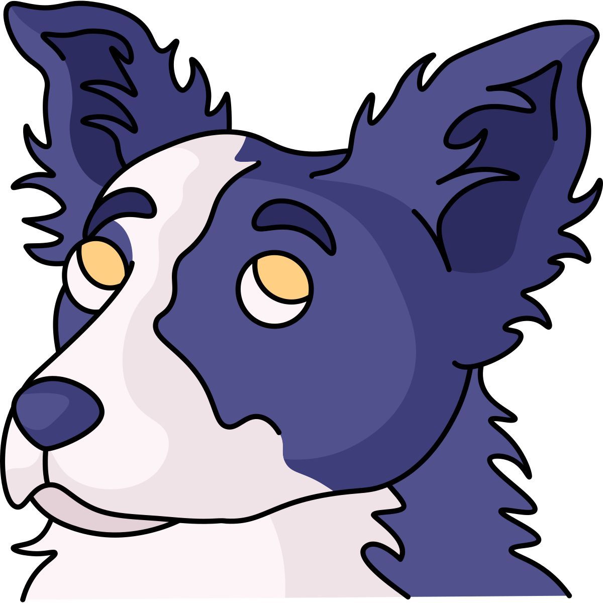 border collie icon