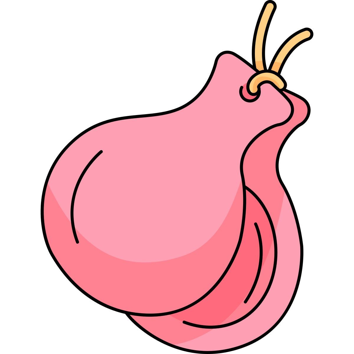 castanets icon