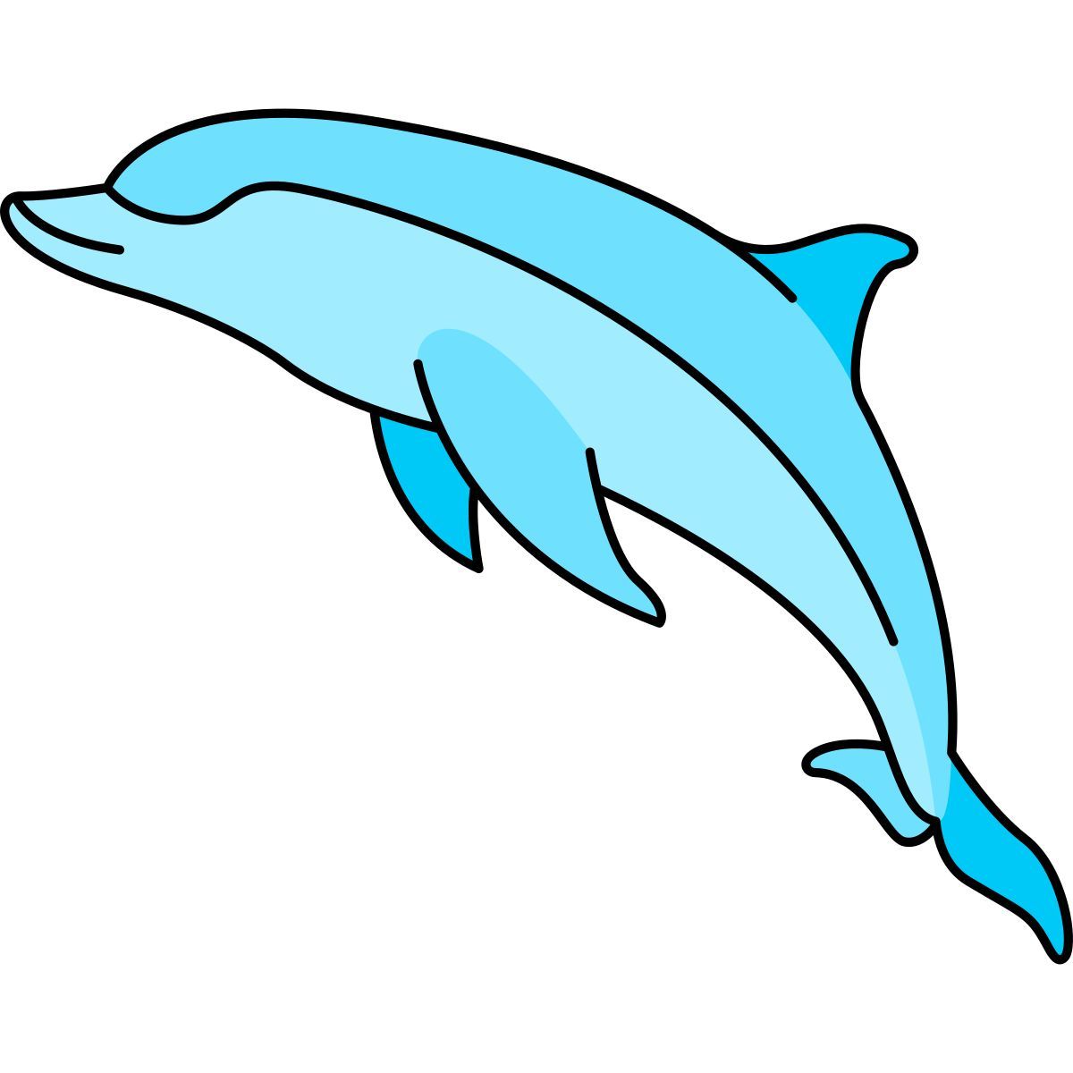 dolphin icon