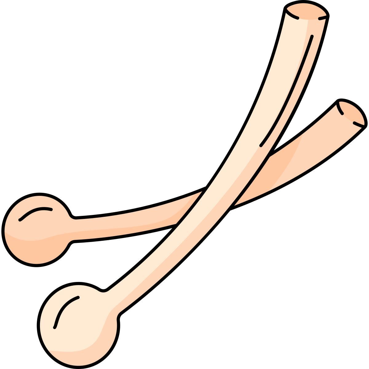 drumstick icon