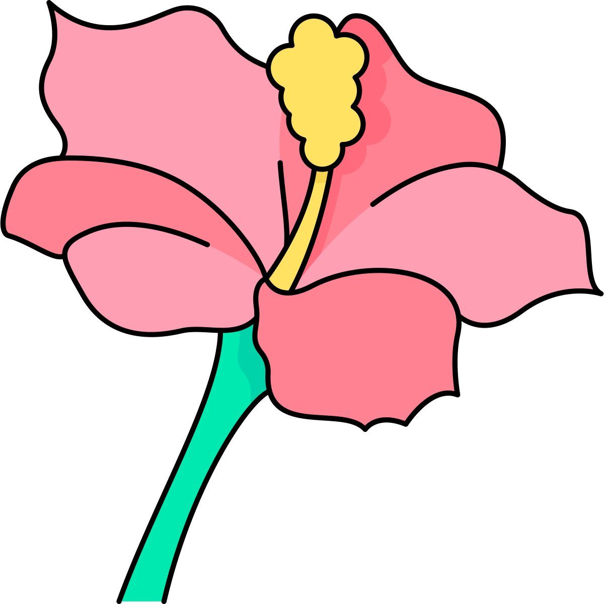 hibiscus icon