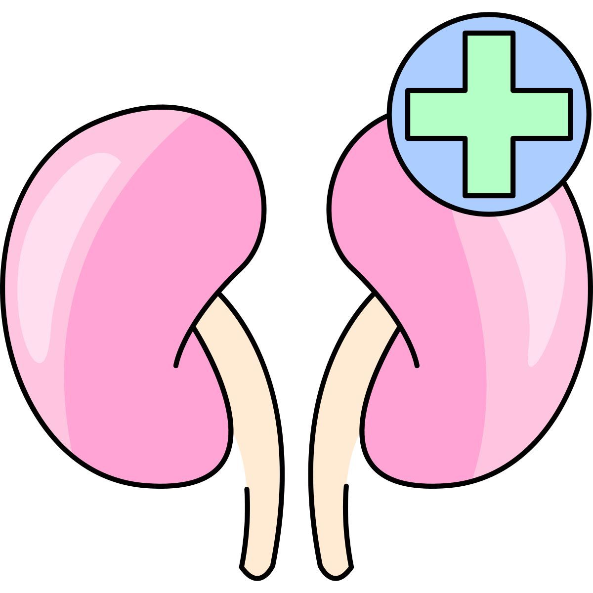 kidney icon