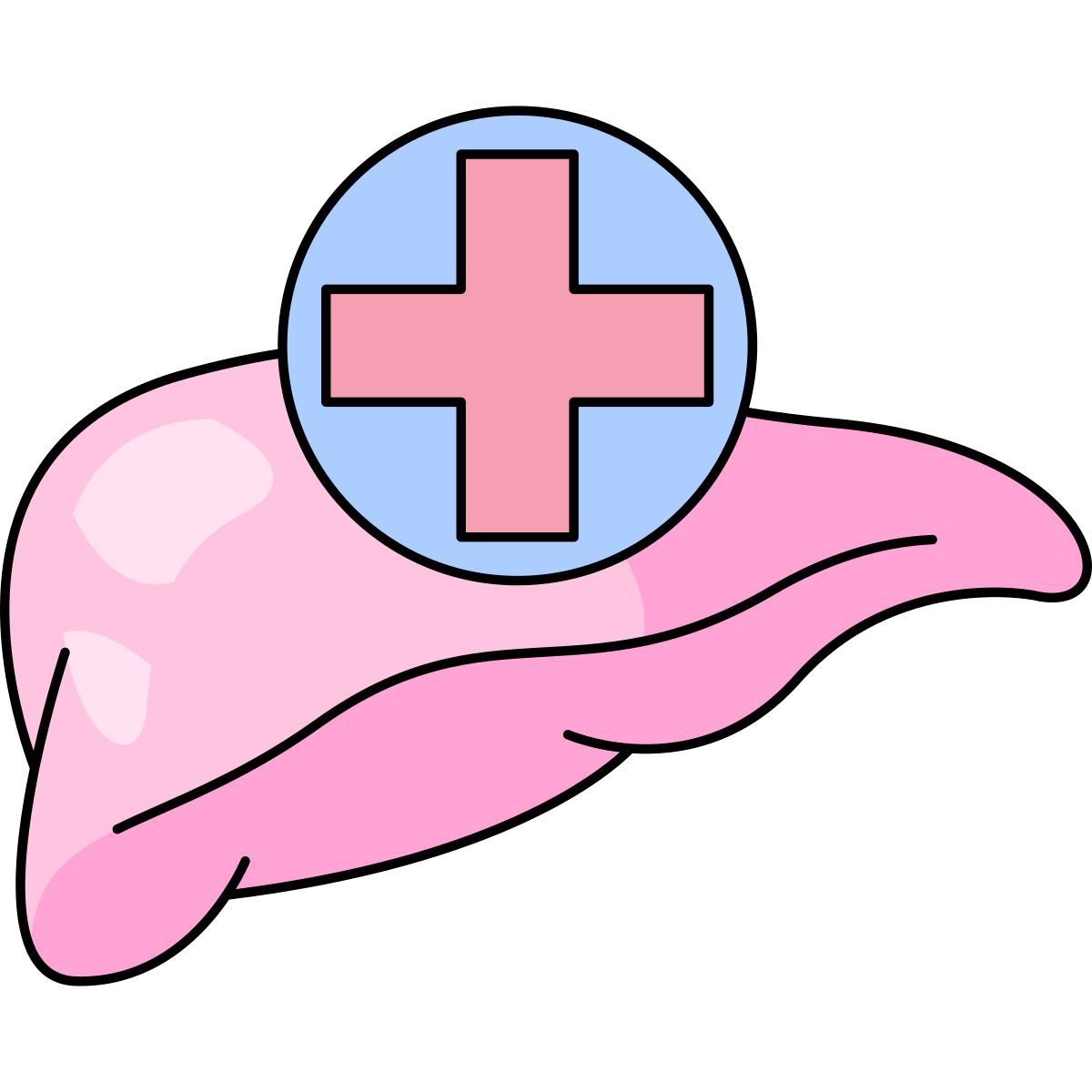 liver icon