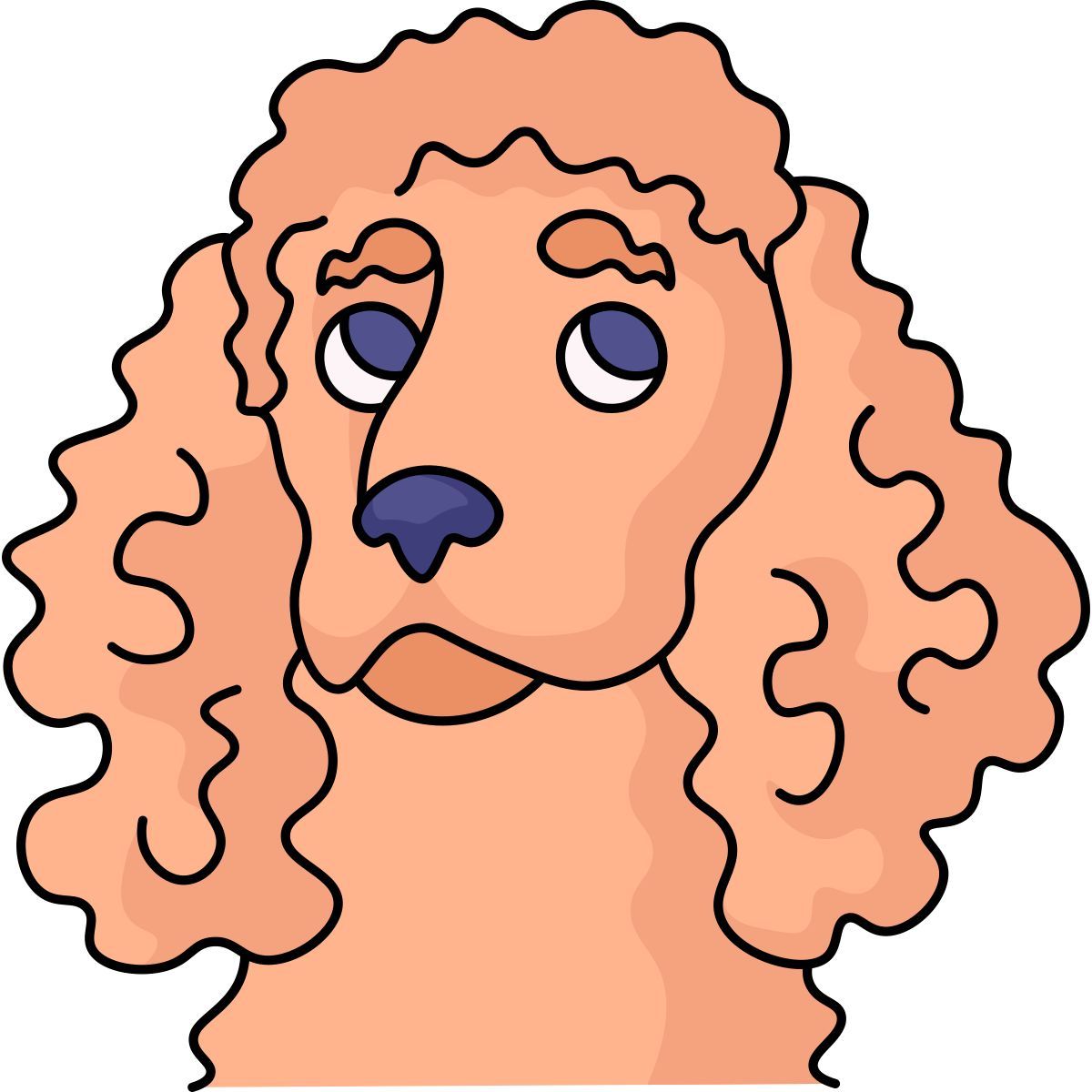 poodle icon