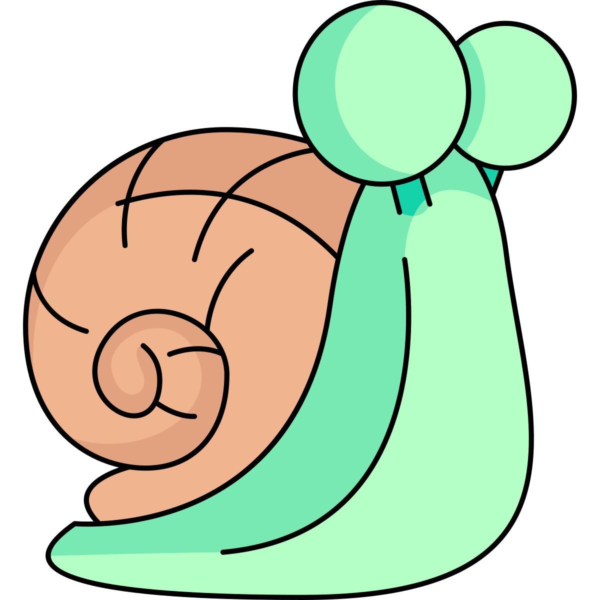 snail icon