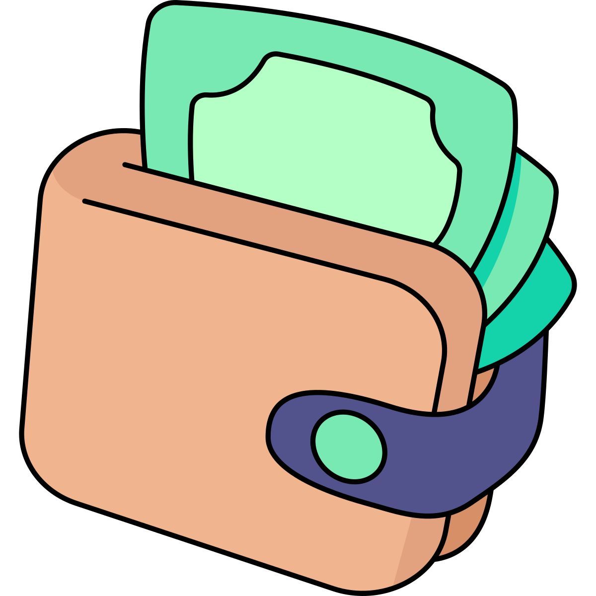 wallet icon