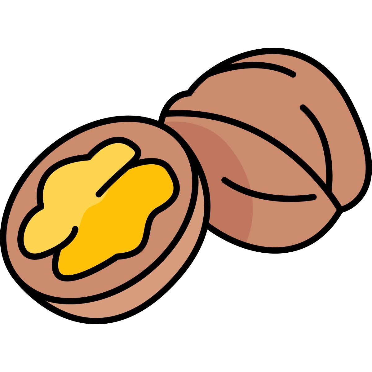 walnut icon