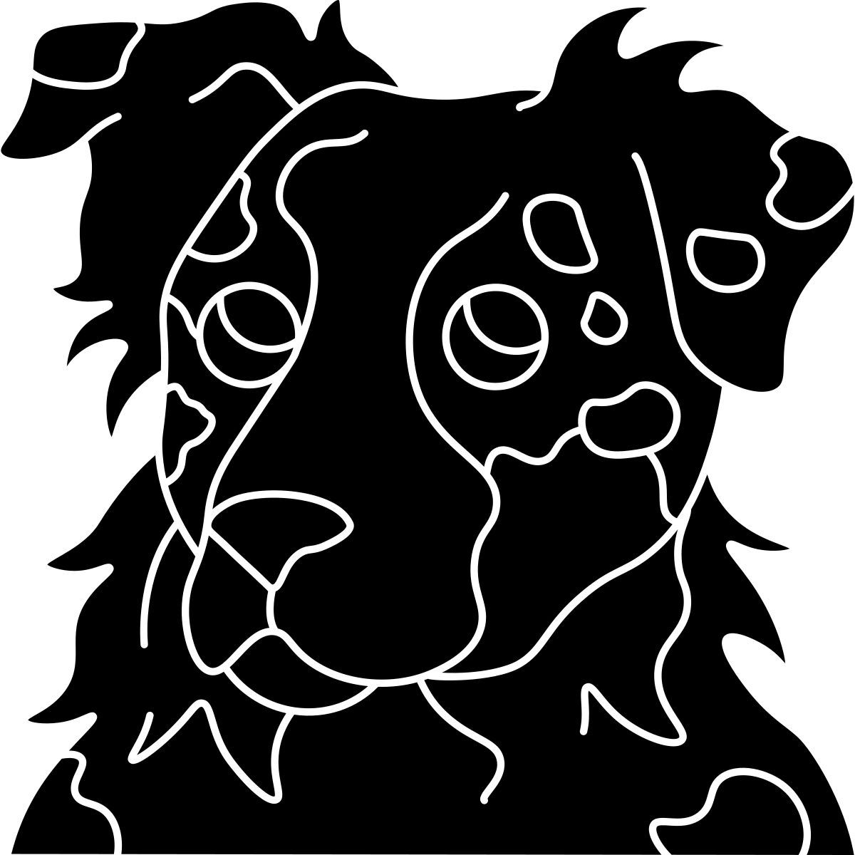 australian shepherd icon