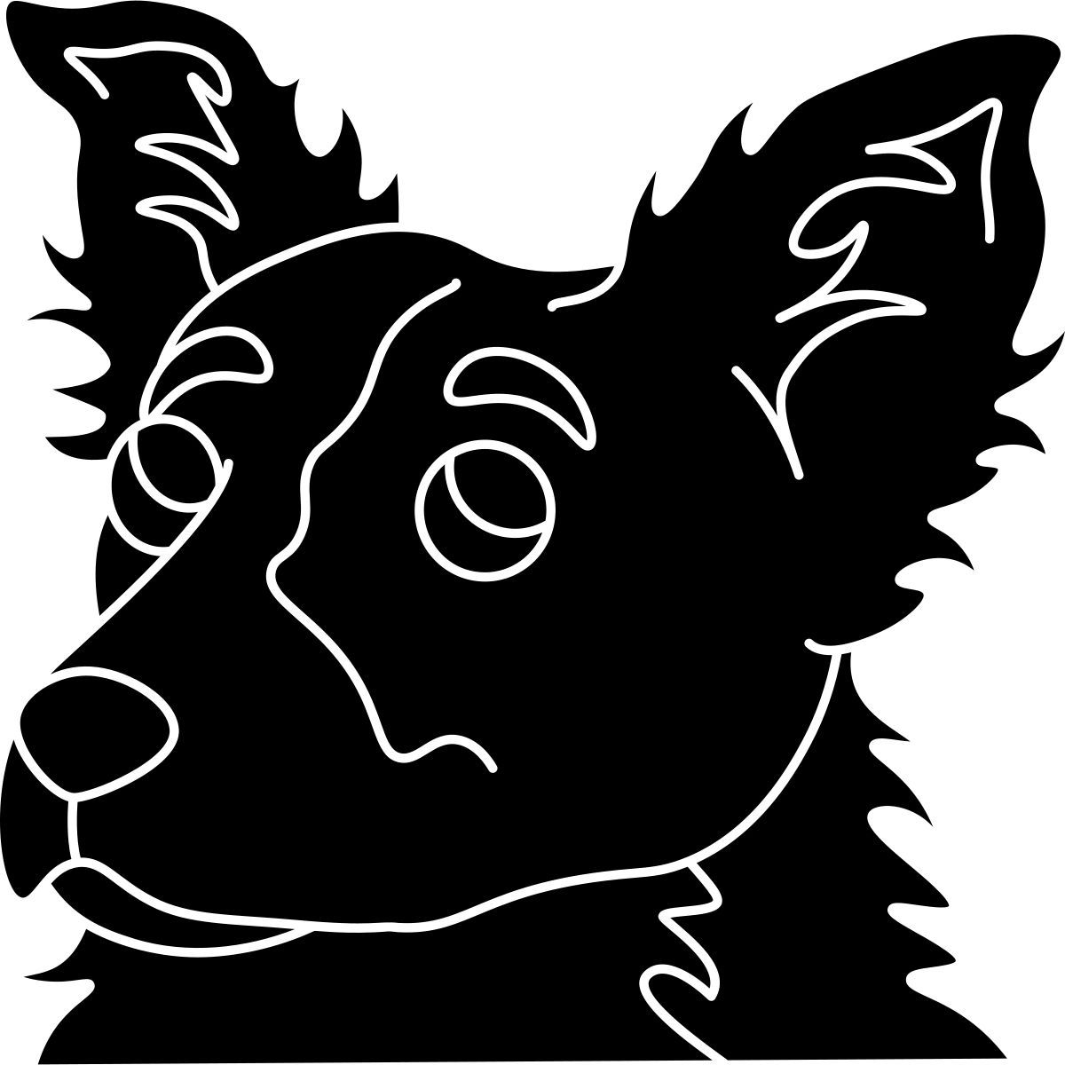 border collie icon