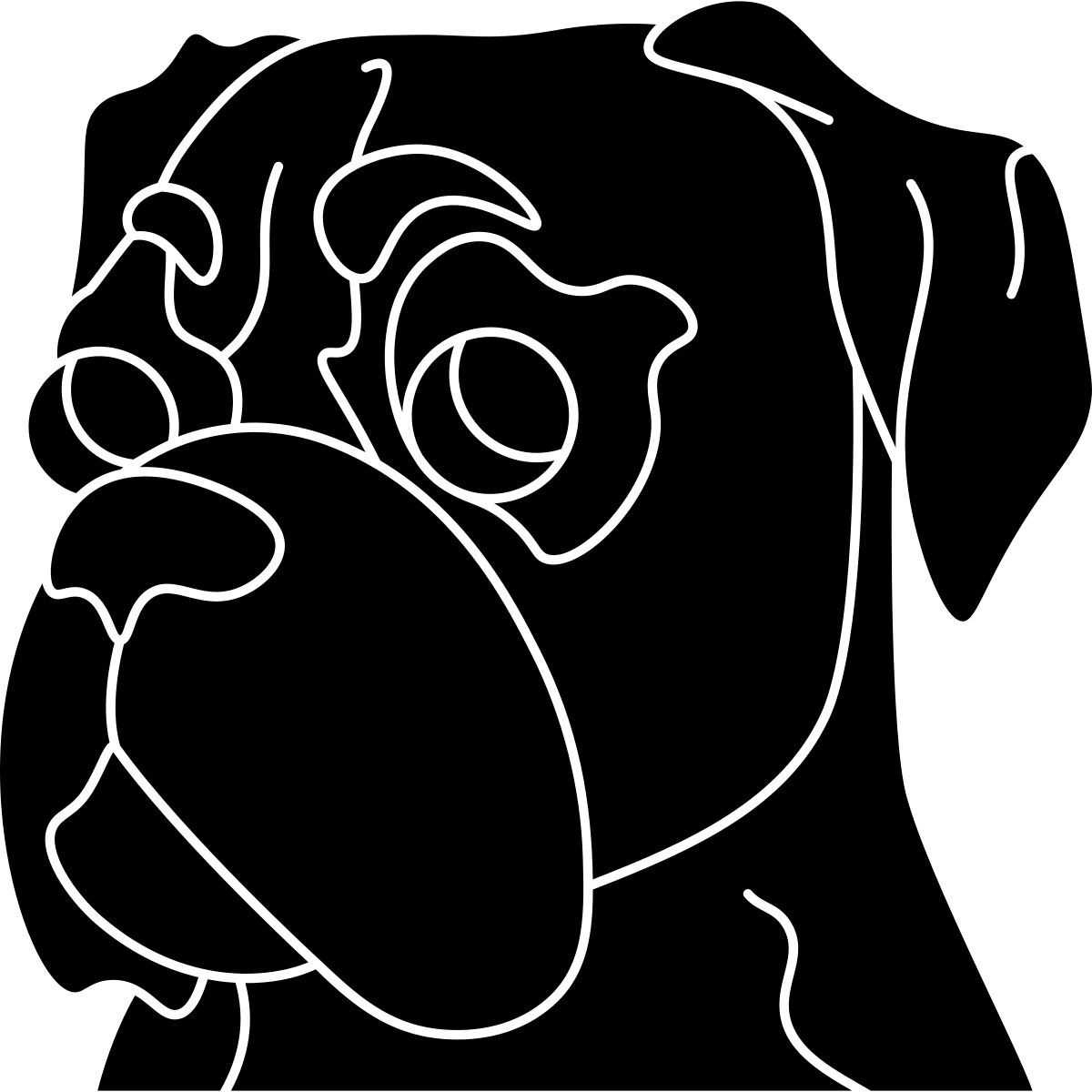 boxer icon