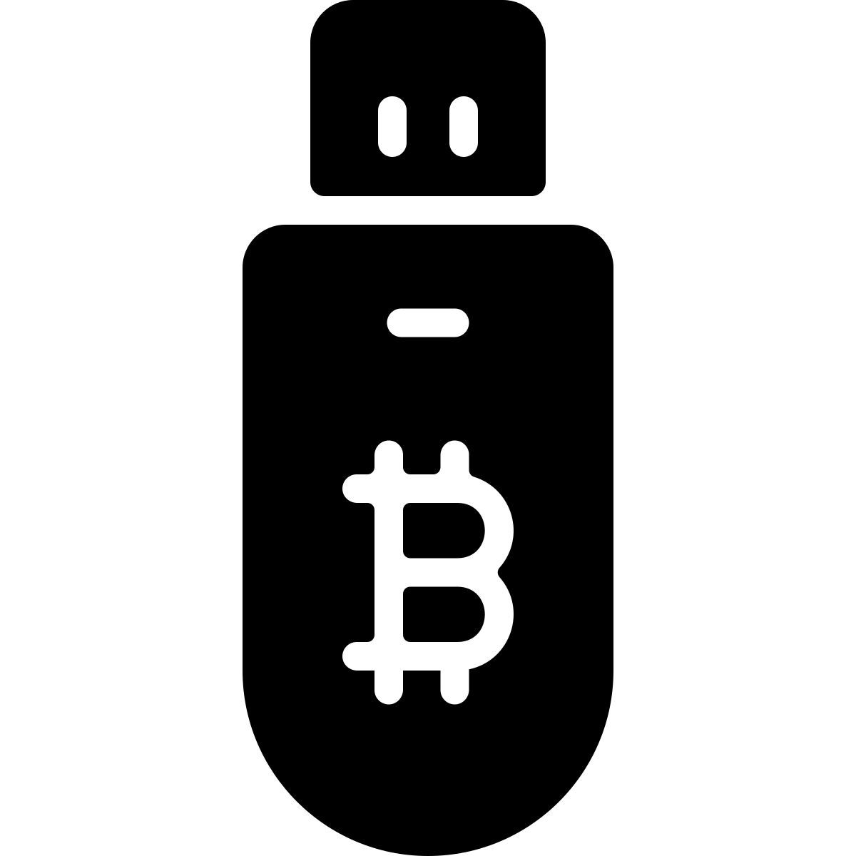 pendrive icon