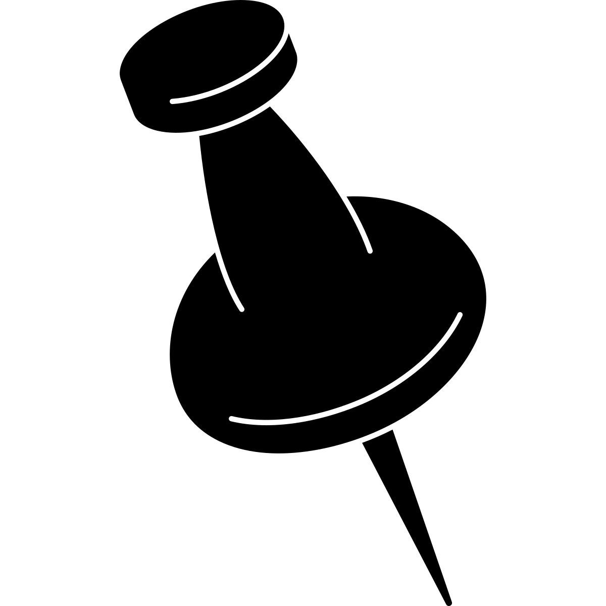 pin icon