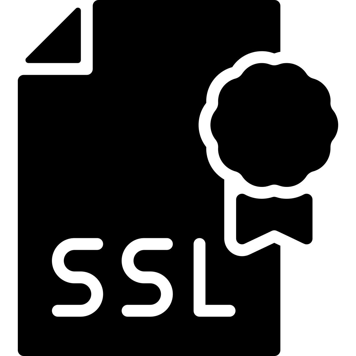 ssl certificate icon