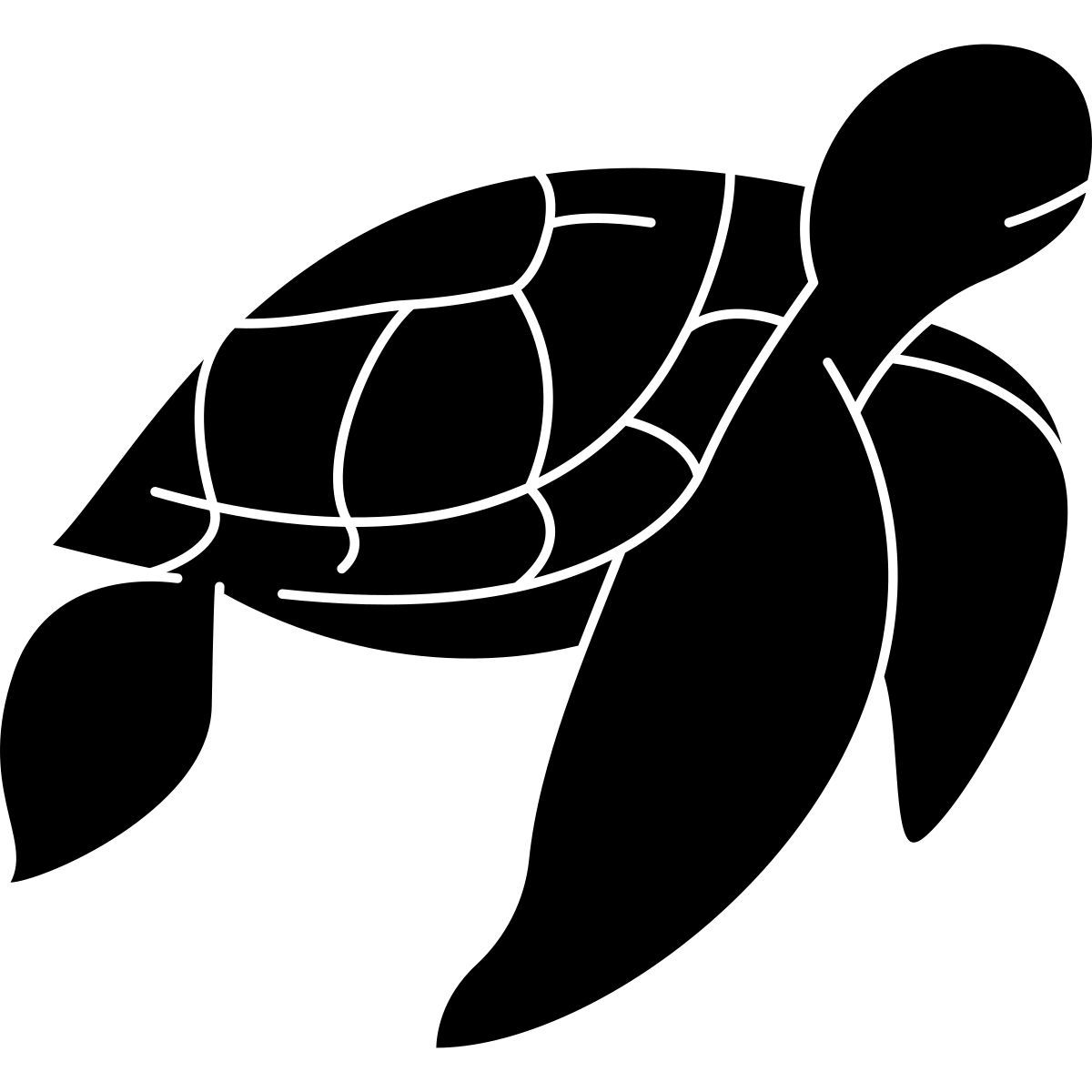 turtle icon