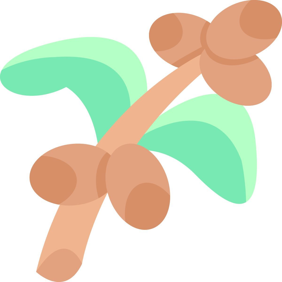 coffee plant icon