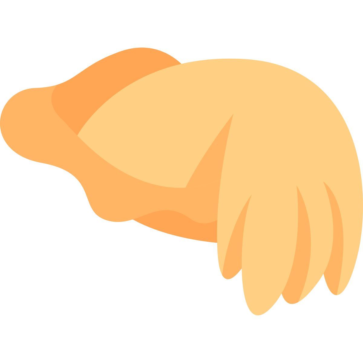 cuttlefish icon