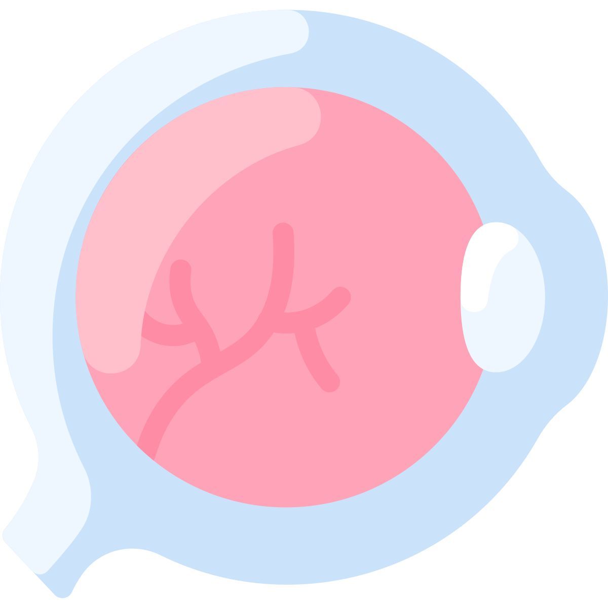 globo del ojo icon