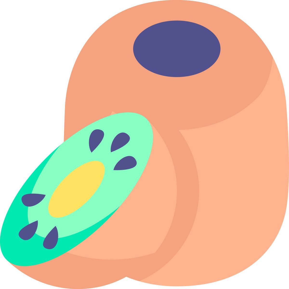 kiwi icon
