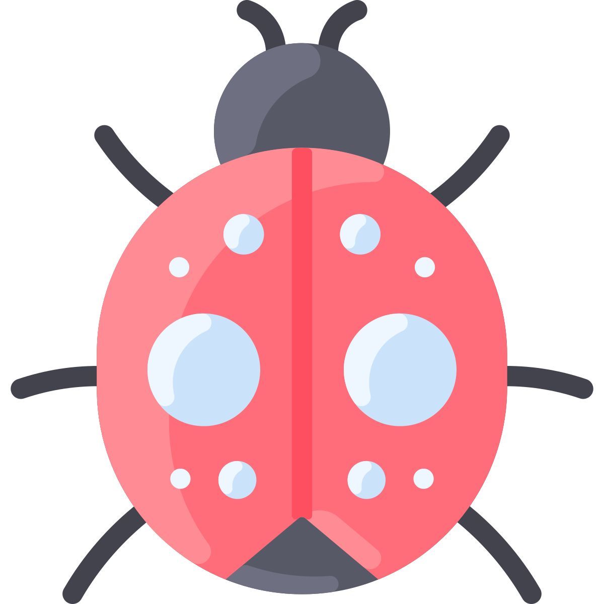 ladybug icon