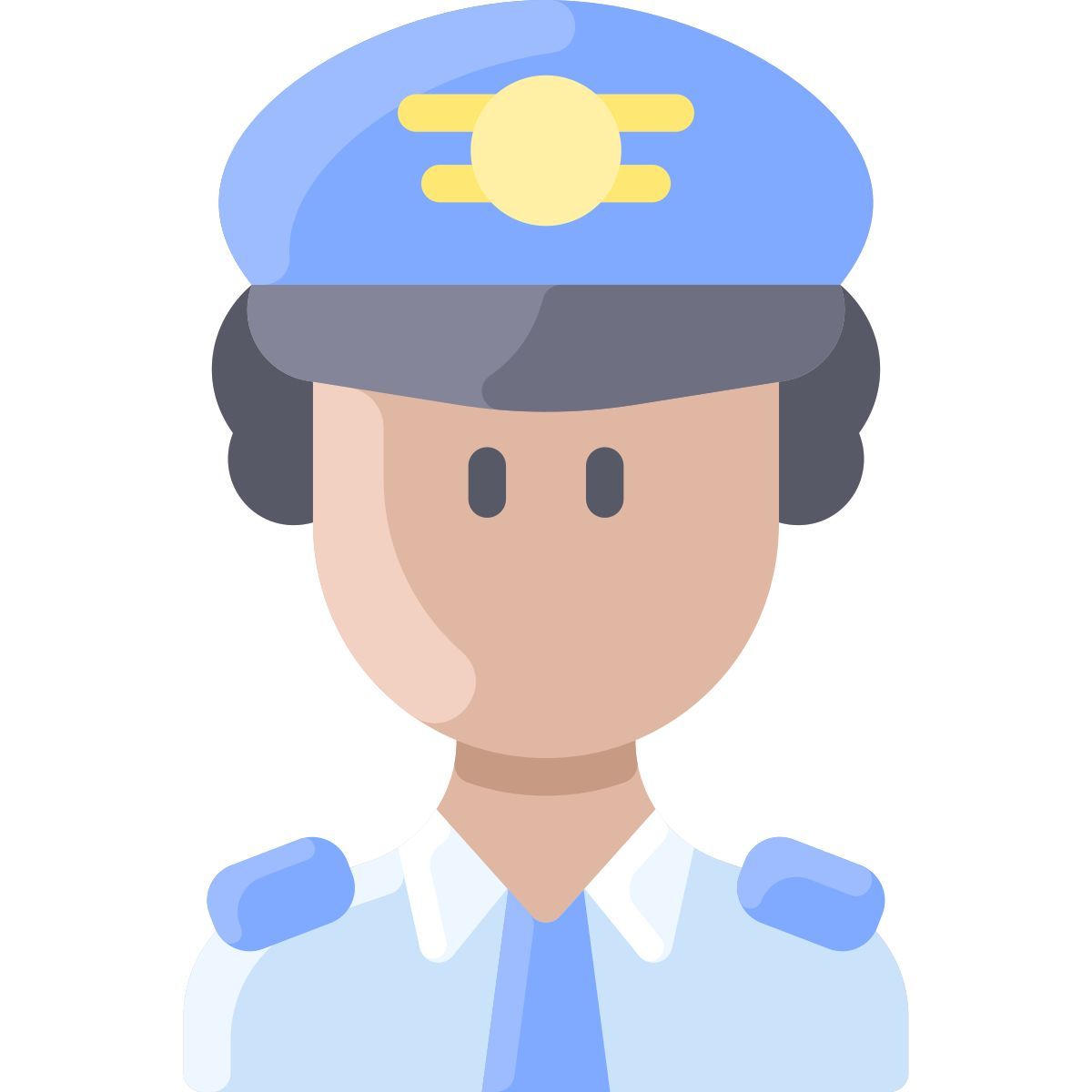 pilot icon