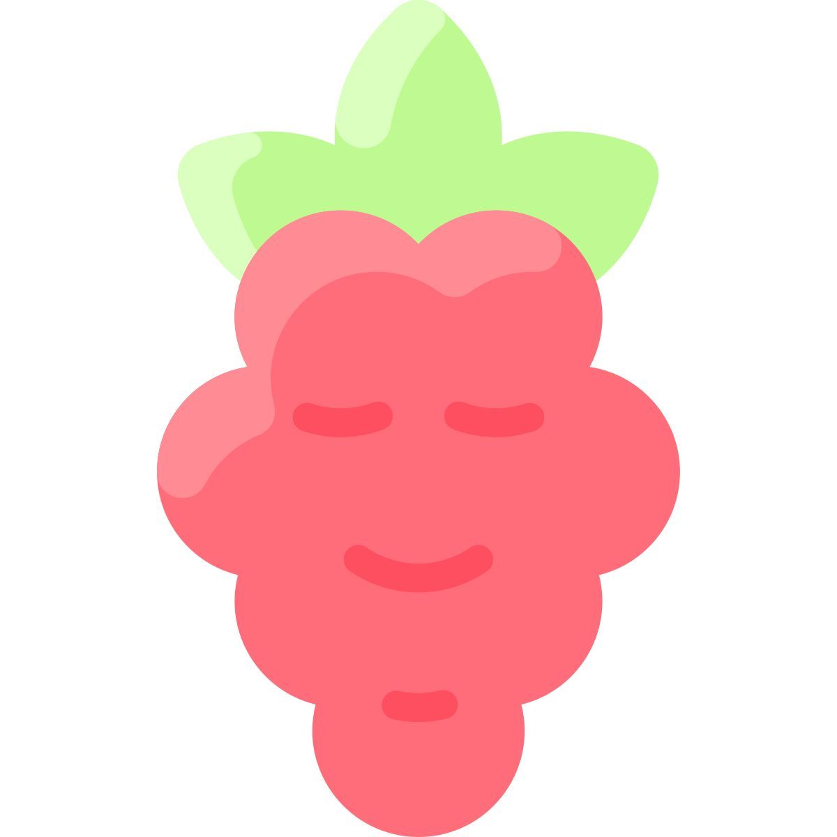 raspberry icon