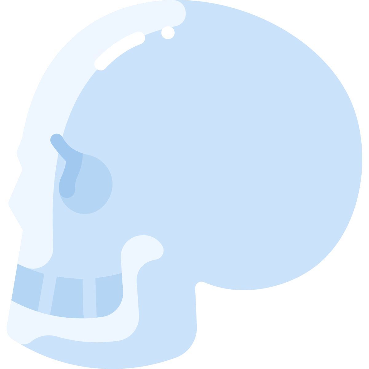 skull icon