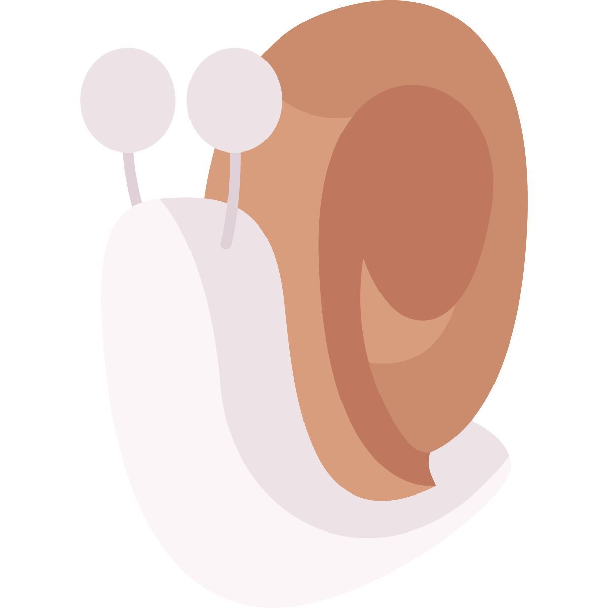 snail icon