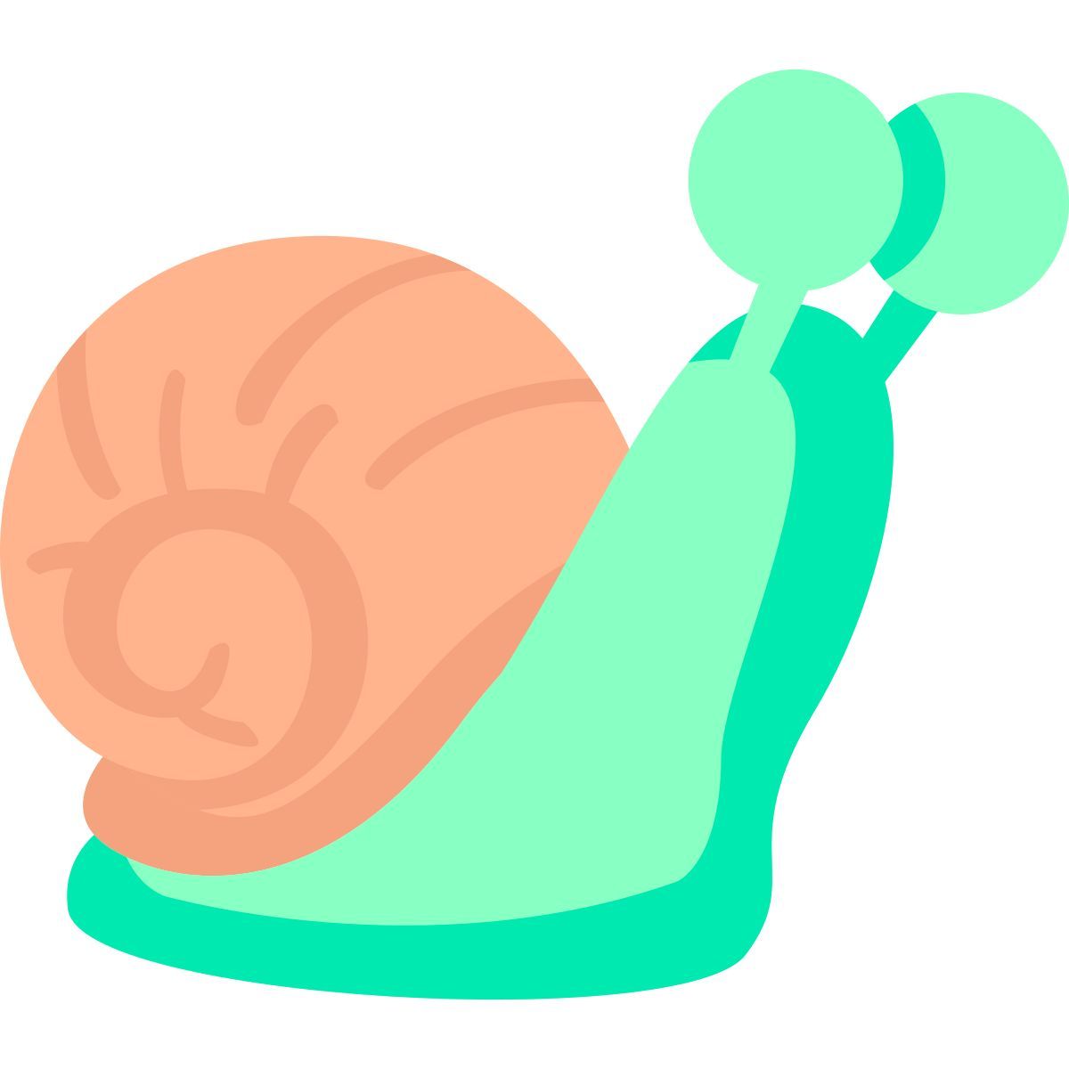snail icon