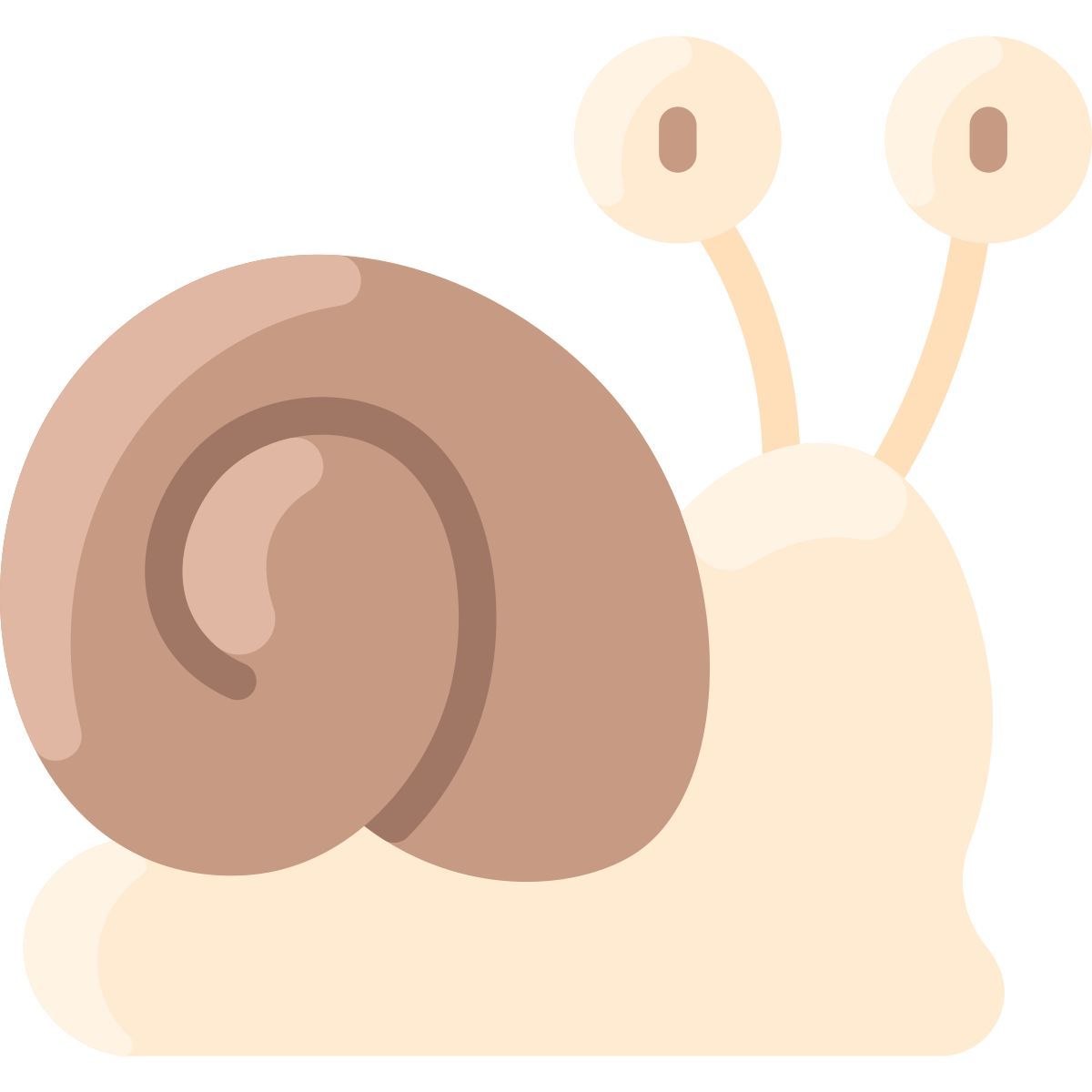 snail icon